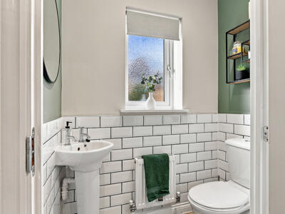 Picture 7